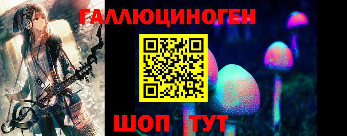 Псилоцибиновые грибы Psilocybine cubensis Тара