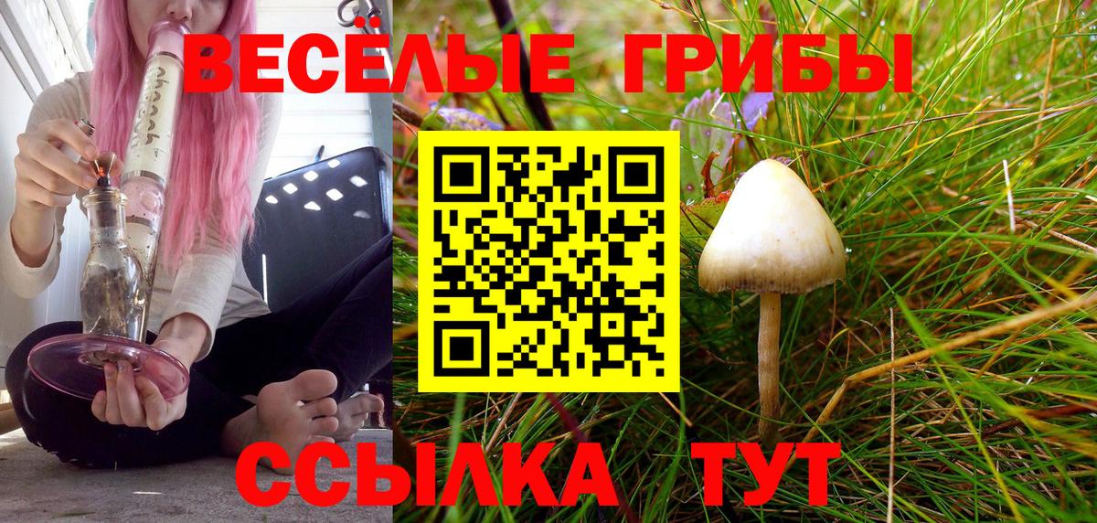 Псилоцибиновые грибы мицелий  Псилоцибиновые грибы мухоморы  Вход с VPN  Тара 